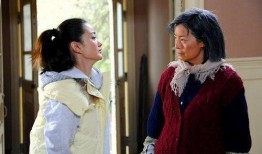 婆婆来了在线观看,家庭纷争与和谐共处的情感纠葛